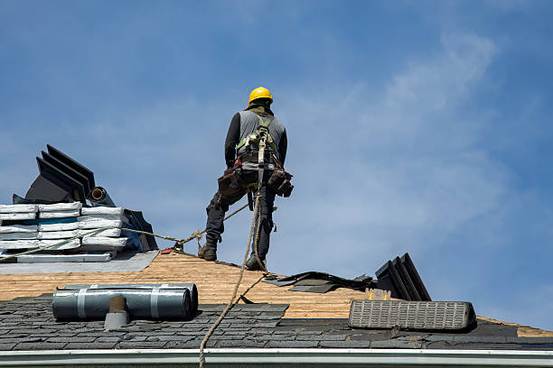 Professional Gutter Installation technician working in Columbus, NM